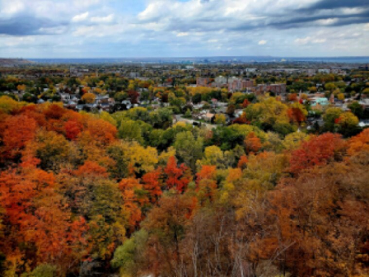 Hamilton_Devils_Punchbowl_Conservation_Area_4