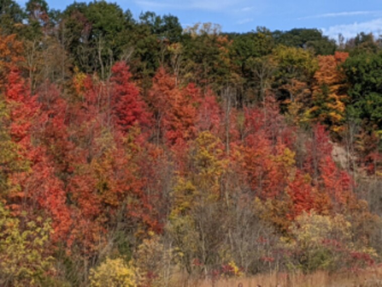 Hamilton_Dundas_Peak_2