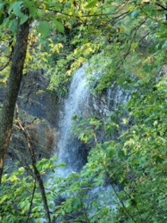 Felker s Falls Conservation Area