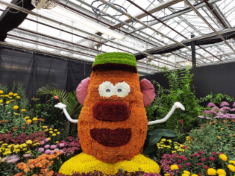 Hamilton_Gage_Park_10