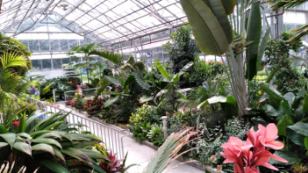 Hamilton_Gage_Park_4