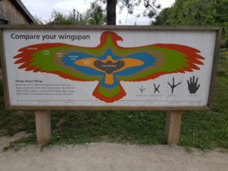 Hamilton_Mountsberg_Conservation_Area_1