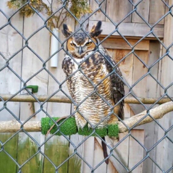 Hamilton_Mountsberg_Conservation_Area_5