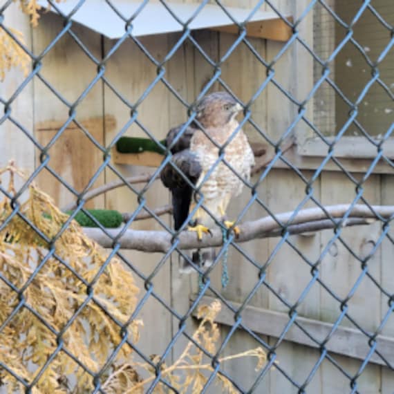 Hamilton_Mountsberg_Conservation_Area_6