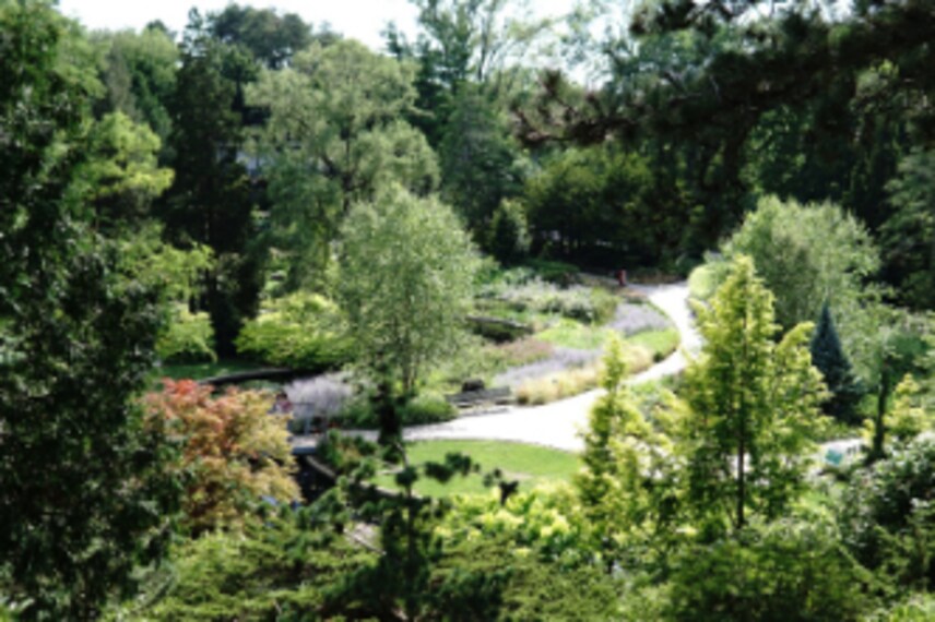 Hamilton_Royal_Botanical_Gardens_Canada_6