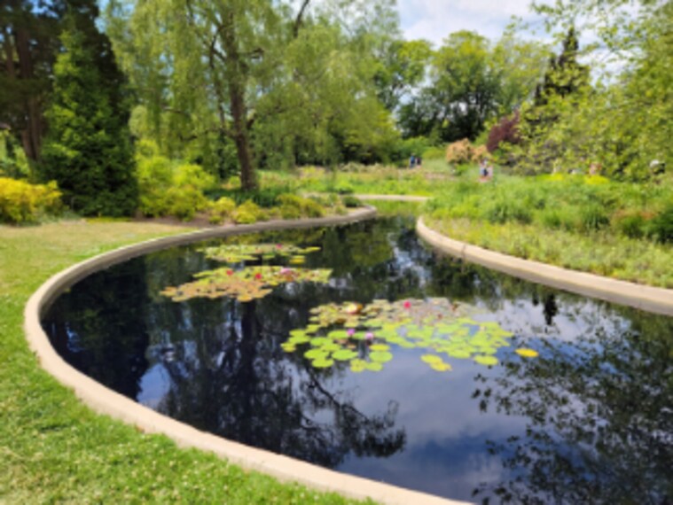 Hamilton_Royal_Botanical_Gardens_Canada_7