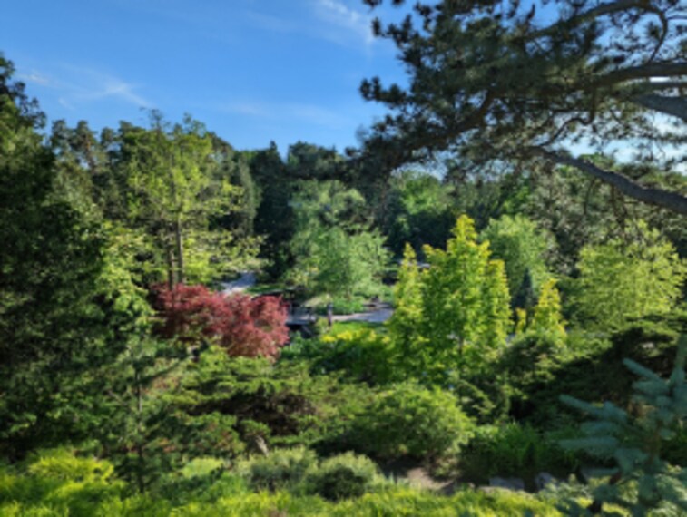 Hamilton_Royal_Botanical_Gardens_Rock_Garden_4