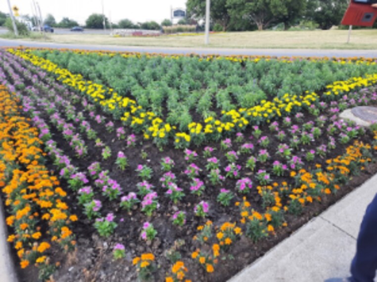 Hamilton_Sam_Lawrence_Park_7