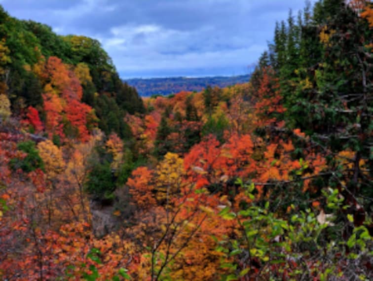 Hamilton_Tews_Falls_3