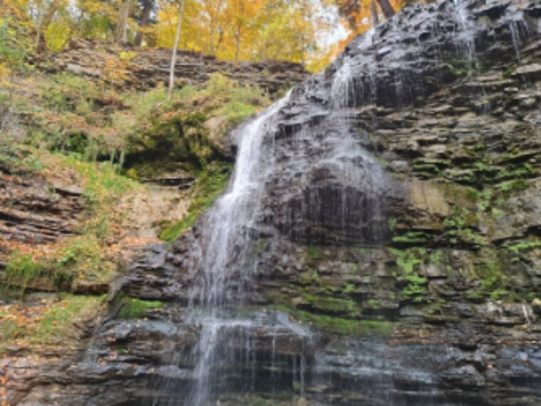 Hamilton_Tiffany_Falls_Conservation_Area_1