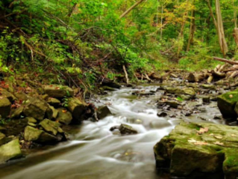 Hamilton_Tiffany_Falls_Conservation_Area_3