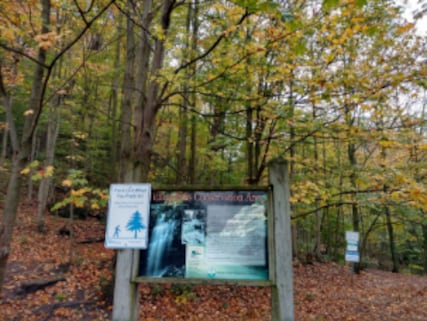 Tiffany Falls Conservation Area