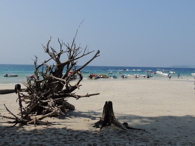 Havelock Island Banana Boat Rides Landscape Image