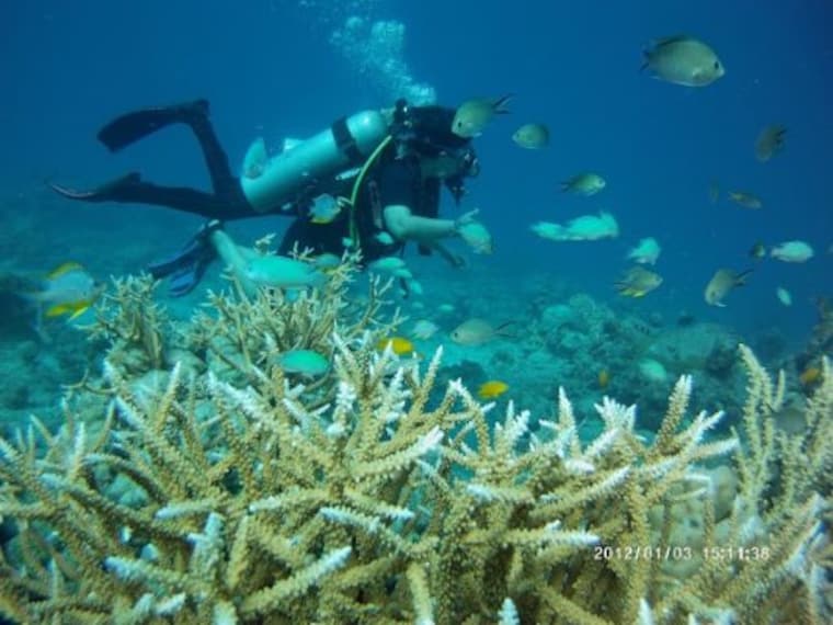Havelock Island Scuba Diving Landscape Image