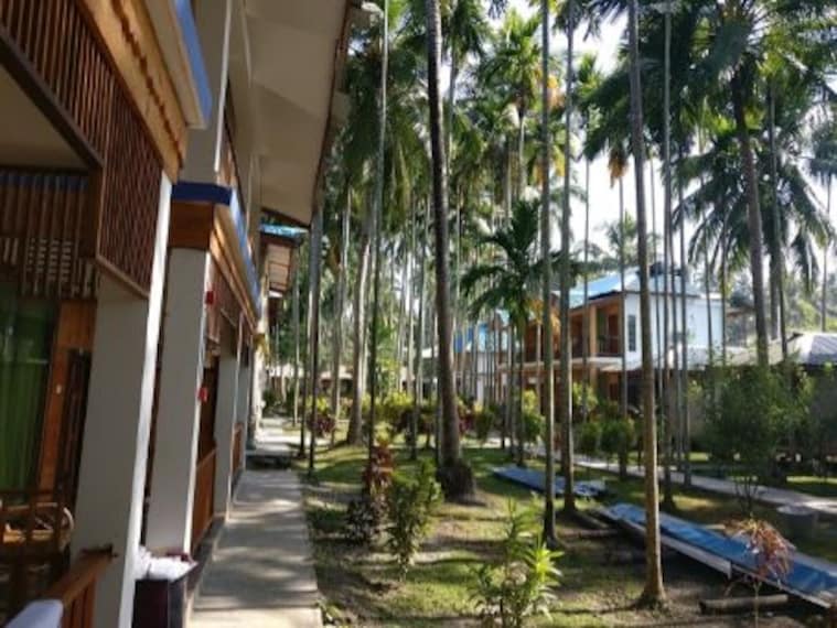 Havelock Island Seashell Havelock Landscape Image