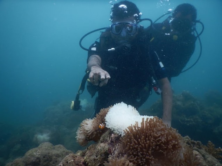 Havelock Island Snorkelling Landscape Image