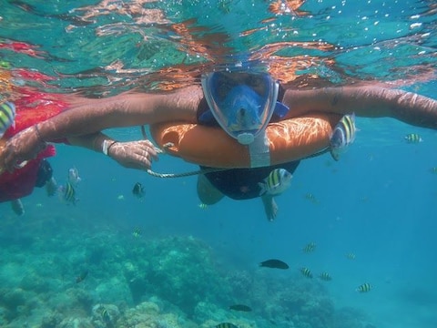 Sea Walking