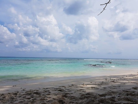 Neil's Cove