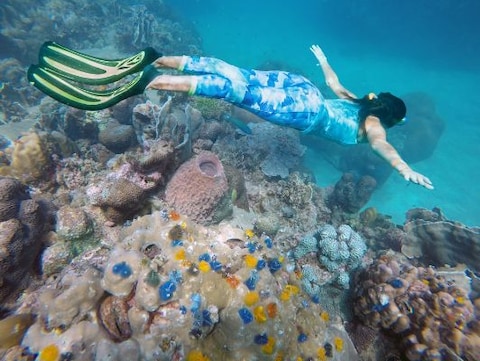 Snorkelling