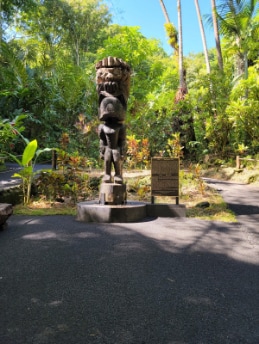 Hawaii_Hawaii_Tropical_Botanical_Garden_8