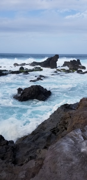 Hawaii_Hookipa_Beach_Park_8
