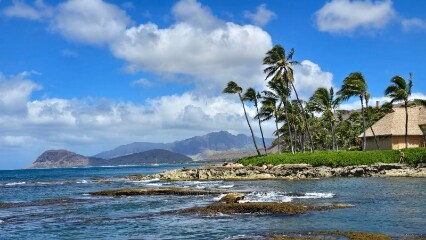 Hawaii_Paradise_Cove_Luau_6