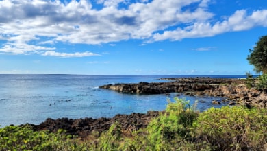 Hawaii_Sharks_Cove_1