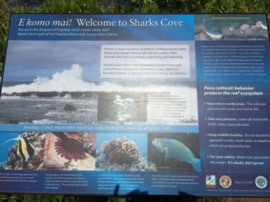 Hawaii_Sharks_Cove_5