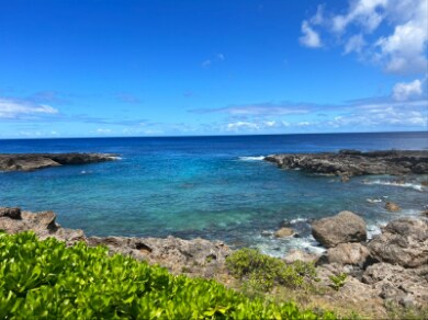 Hawaii_Sharks_Cove_6