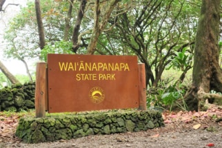 Hawaii_Waianapanapa_State_Park_10