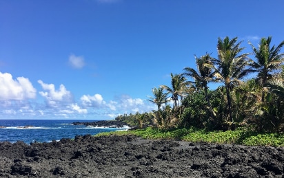 Hawaii_Waianapanapa_State_Park_3