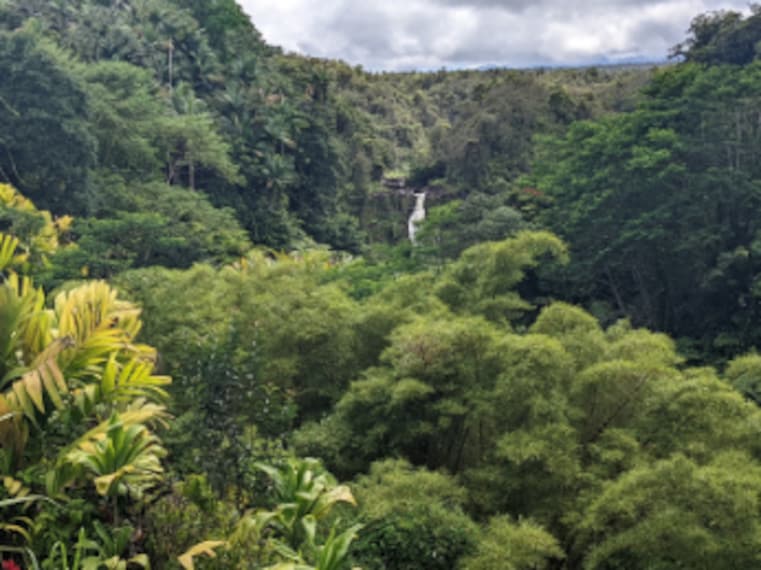 Hawaii_Akaka_Falls_State_Park_3
