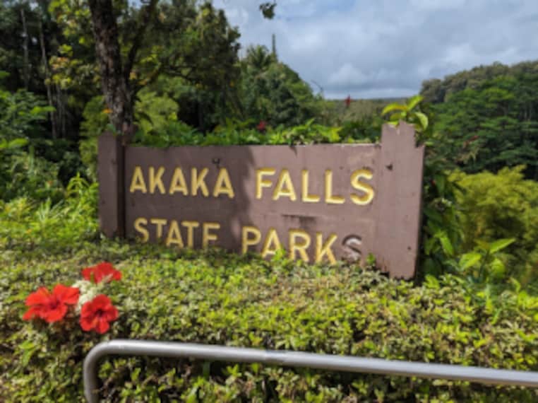 Hawaii_Akaka_Falls_State_Park_8