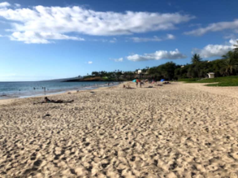 Hawaii_Hapuna_Beach_State_Recreation_Area_2