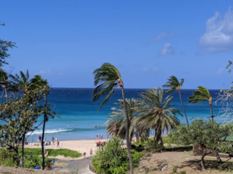 Hawaii_Hapuna_Beach_State_Recreation_Area_7