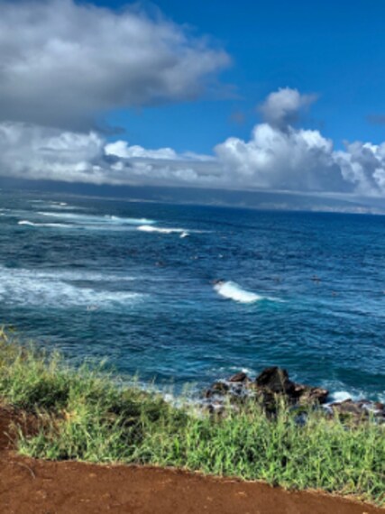 Hawaii_Hookipa_Beach_Park_7