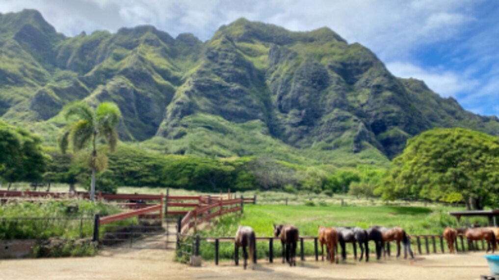 Hawaii_Kualoa_Ranch_3