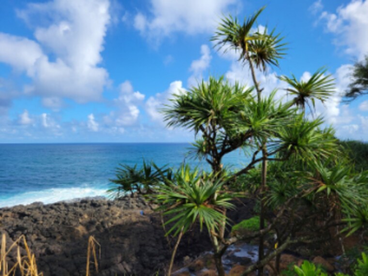 Hawaii_Queens_Bath_10