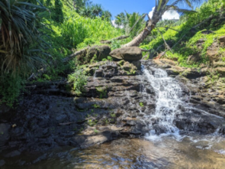 Hawaii_Queens_Bath_4