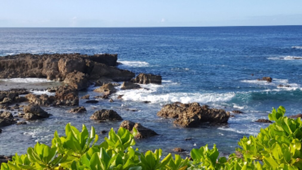 Hawaii_Sharks_Cove_3