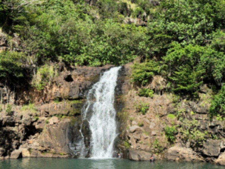 Hawaii_Waimea_Valley_1