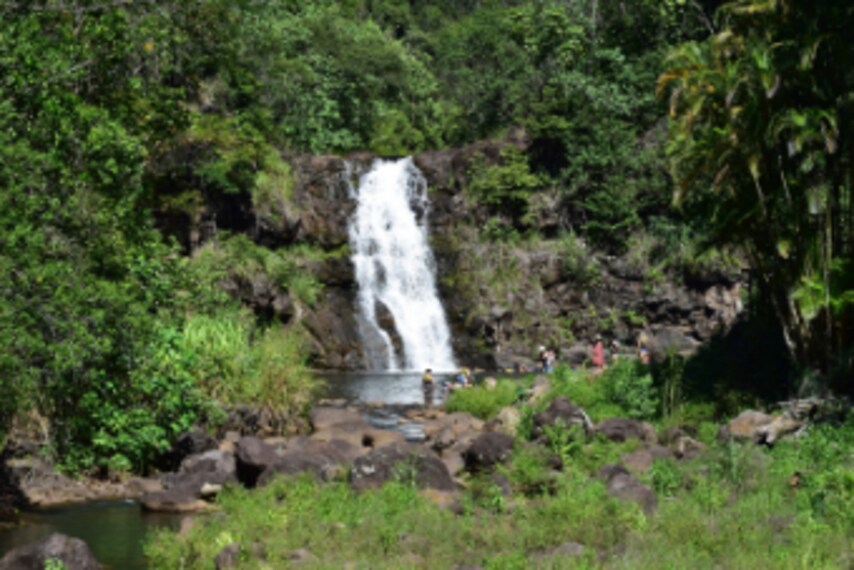 Hawaii_Waimea_Valley_6