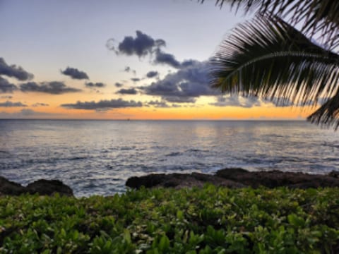 Paradise Cove Luau