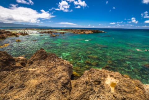 Shark s Cove