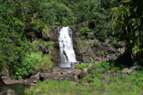 Waimea Valley