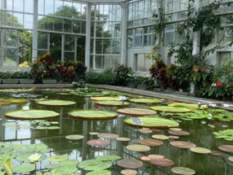 Hiroshima_Botanical_Garden_2