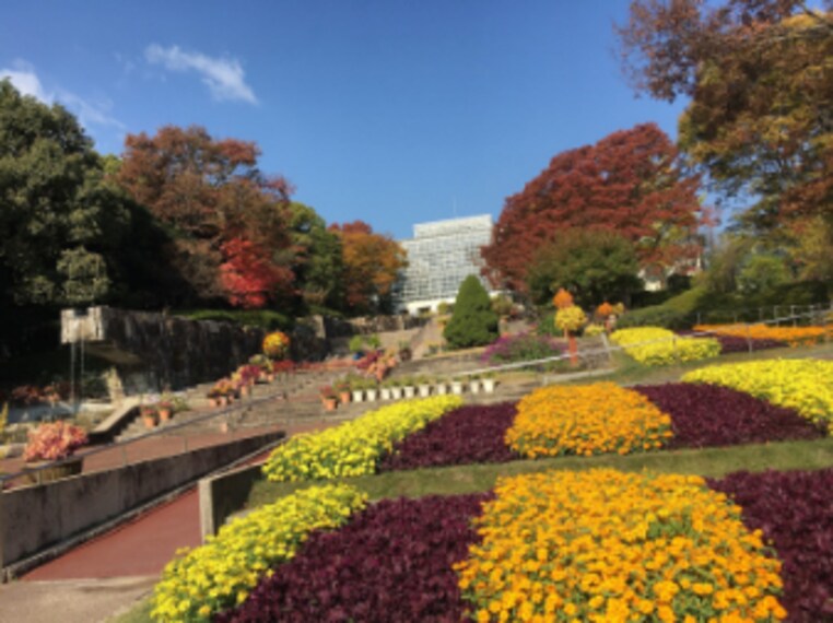 Hiroshima_Botanical_Garden_3