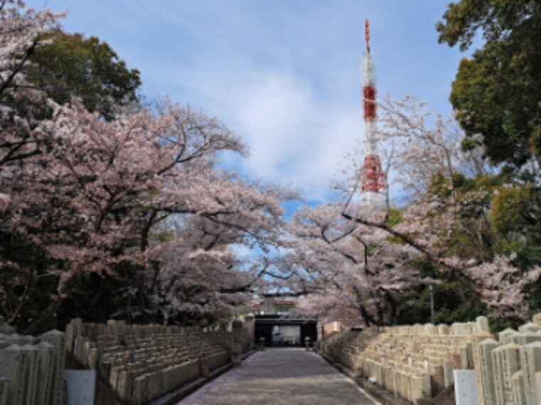 Hiroshima_Hijiyama_Park_2