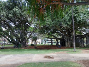 Honolulu_Kapiolani_Regional_Park_5