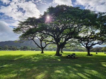 Honolulu_Kapiolani_Regional_Park_6